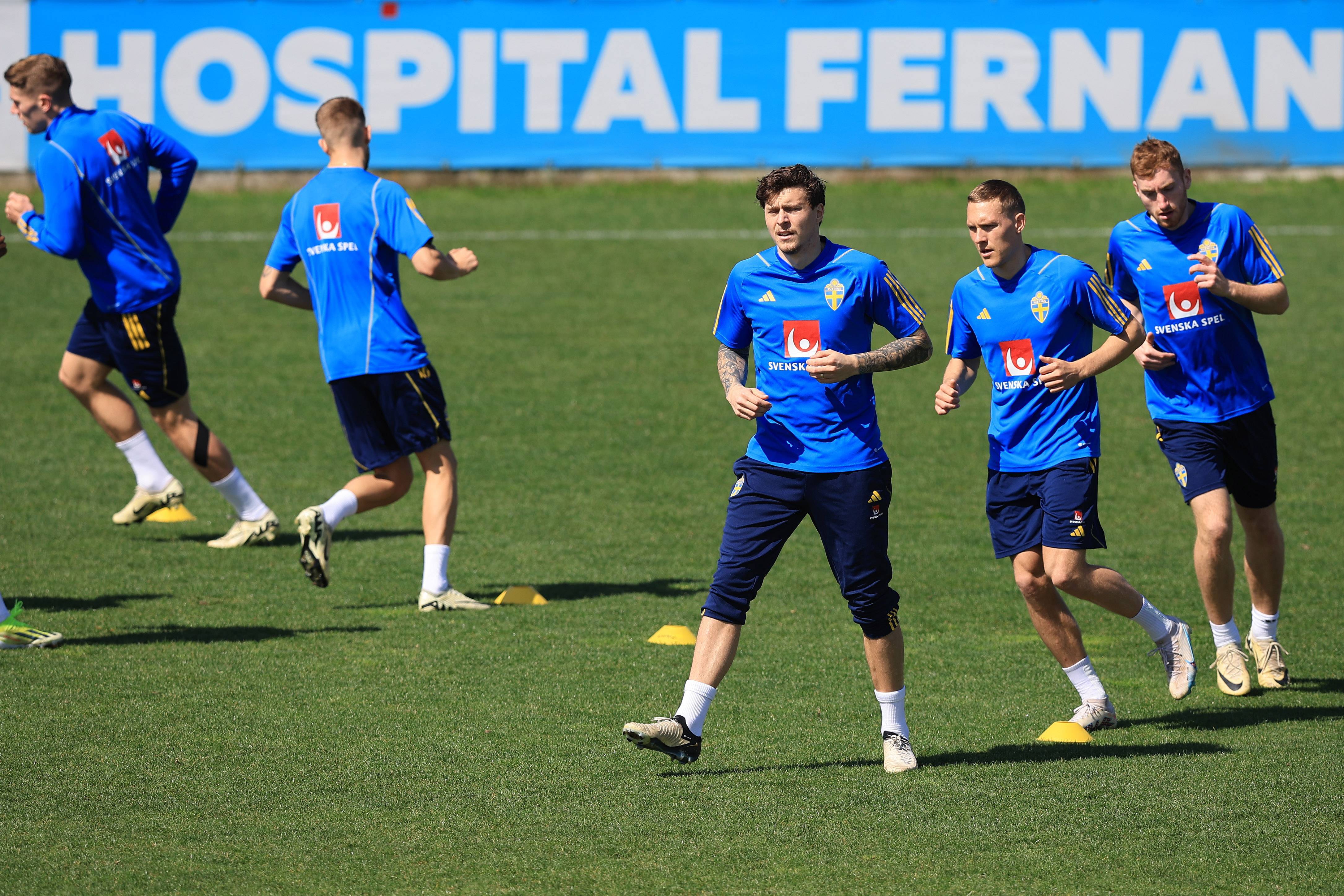 包含世界各国备战友谊赛气氛热烈的词条