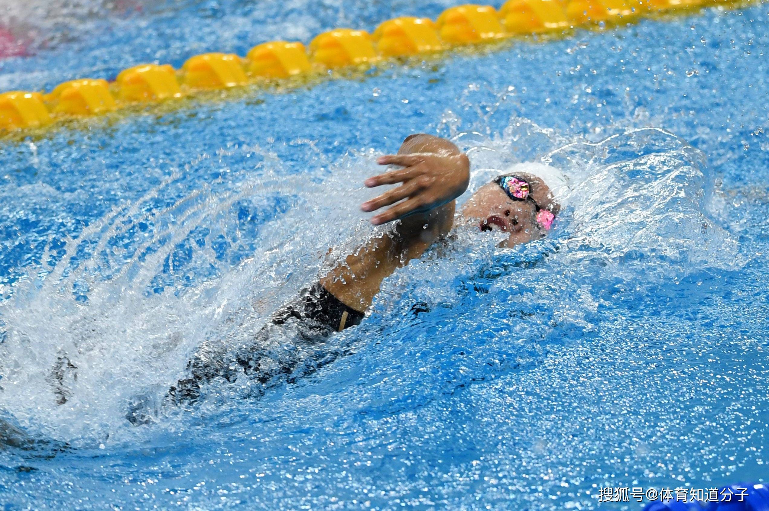 游泳比赛女选手崭露头角，谁能压倒众人的简单介绍