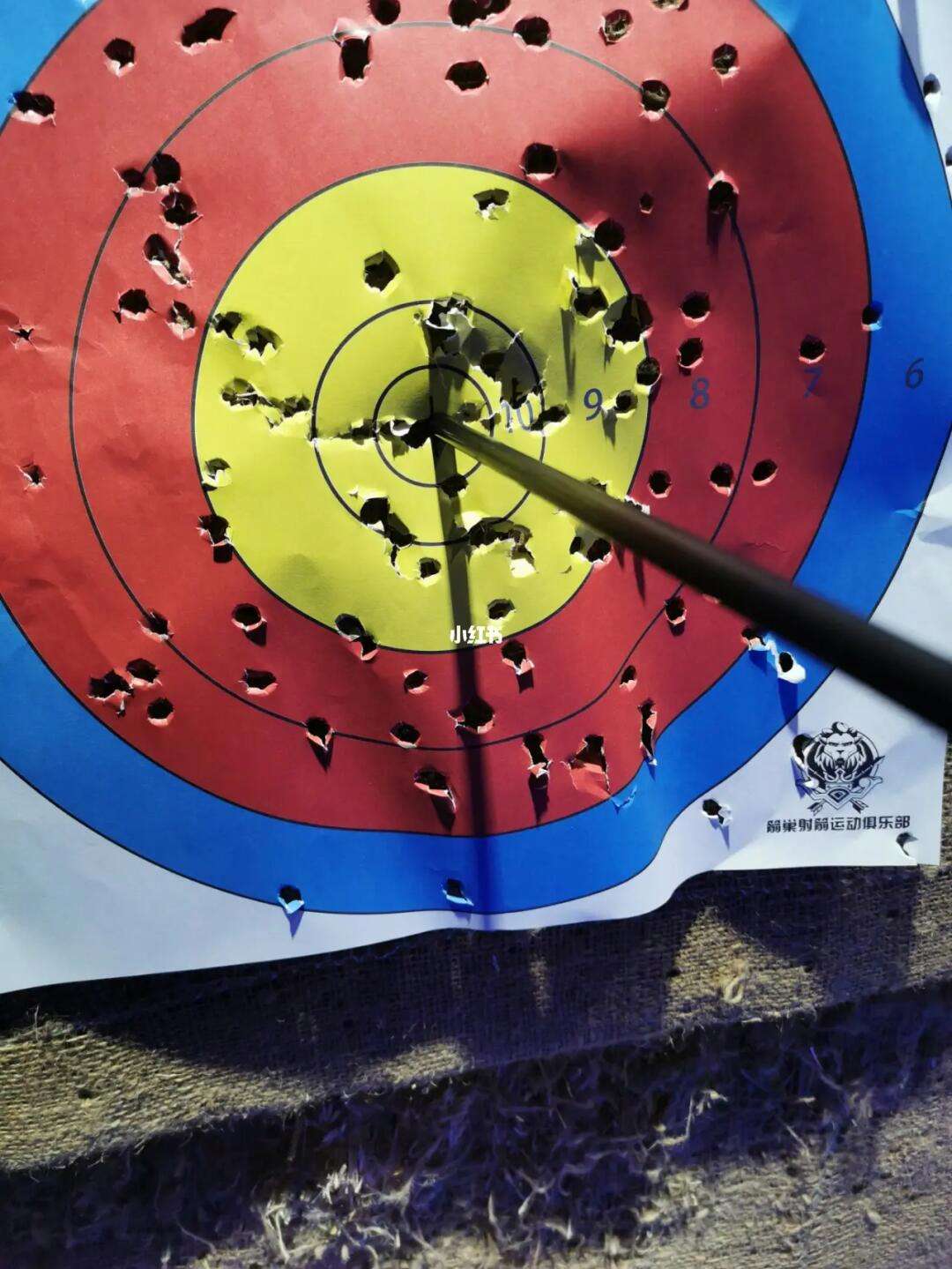 射箭选手风雨无阻,射中靶心 射箭选手风雨无阻,射中靶心